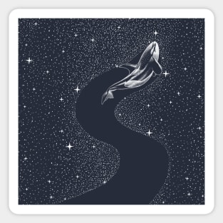 starry orca Sticker